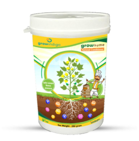 MAXAN GROW HUME