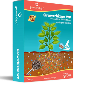 MAXAN GROWRRHIZAE