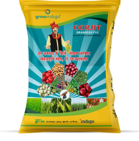 MAXAN OORJIT FVC