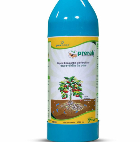 MAXAN PRERAK DRIP