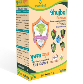 MAXAN BHUJBAL BEAUVER