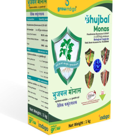 MAXAN BHUJBAL MONAS