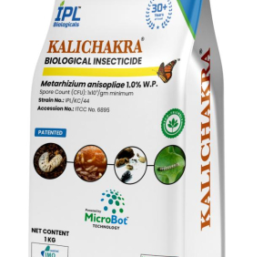 MAXAN KALICHAKRA