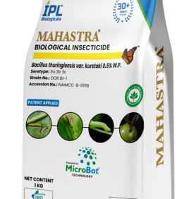 MAXAN MAHASTRA