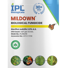 MAXAN MILDOWN