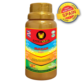 MAXAN BYO