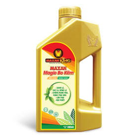 MAXAN MAGIE BO KẼM