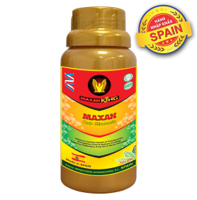 MAXAN CAB GLUCONIC