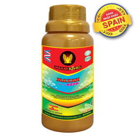 MAXAN POWER KELP