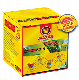 MAXAN AI