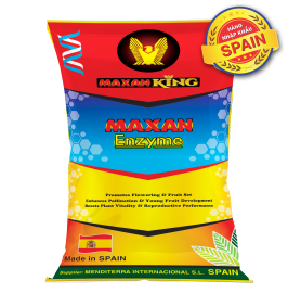 MAXAN ENZYME SPAIN