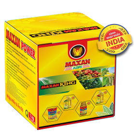 MAXAN POWER