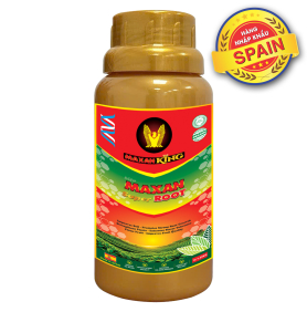 MAXAN SUPER ROOT SPAIN
