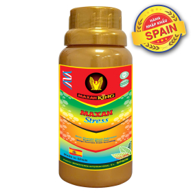 MAXAN STRESS