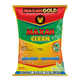 MAXAN CLEAN