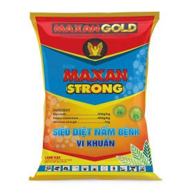 MAXAN STRONG 