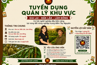 QUẢN LÝ KINH DOANH - RSM ( KHU VỰC)
