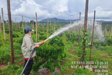 Tư vấn kỹ thuật