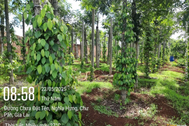 Tư vấn Quy hoạch mặt bằng tổng thể farm