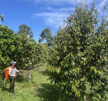 Quy trình kỹ thuật
